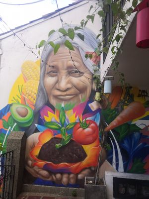 The terras at Madreselva in Bogota