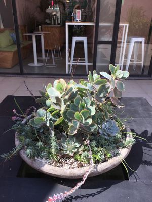 Sunny patio at Matcha Point in Buenos Aires