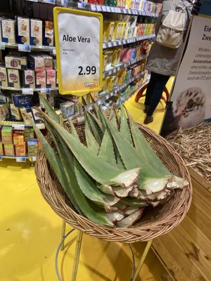 Aloe Vera  at Basic in Berlin