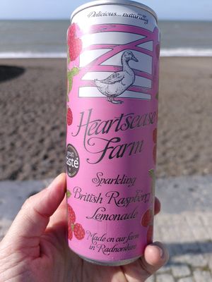 Sparkling raspberry lemonade (September 2023) at Iwtopia Deli in Aberystwyth