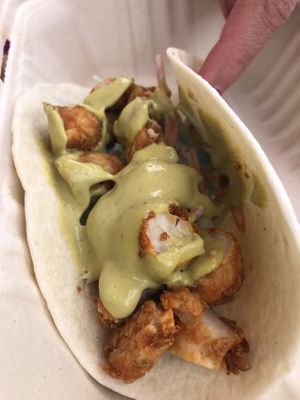 Fish taco (special ) at Sunshine Vegan Eats in Buffalo