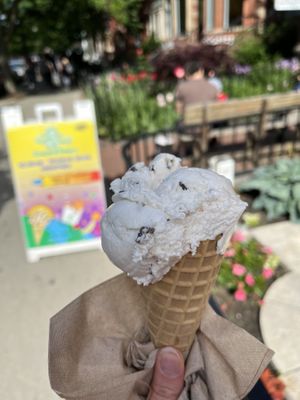 Vegan mint chocolate chip ice cream in waffle cone  at Emack & Bolio's Ice Cream in Boston