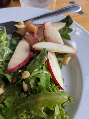 Pear salad without ricotta. at Tröegs Brewing Company in Hershey
