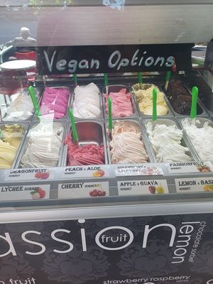 Half the counter is vegan at Gelocchio in Cairns