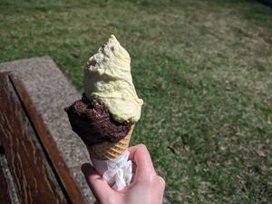 Chocolate and passion fruit sorbets at Gelocchio in Cairns