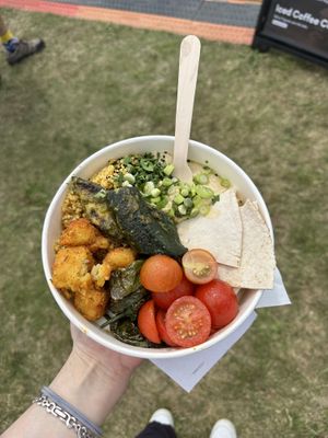  VCO   at Shrub in Chester