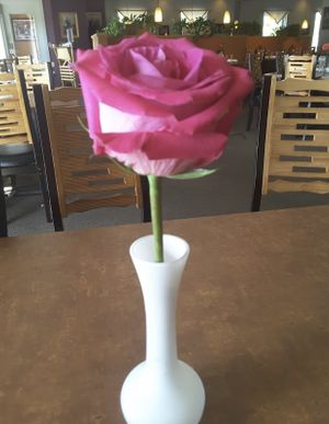 Ambiance  at Bangkok Thai Cuisine in Bloomington