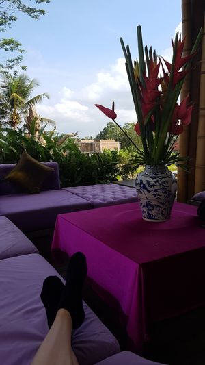 What a view, what a location! at Akasha in Tegallalang