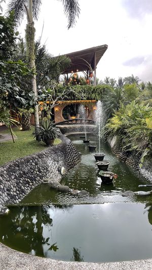   at Akasha in Tegallalang