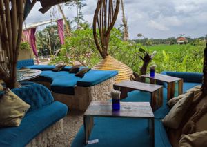 view  at Akasha in Tegallalang