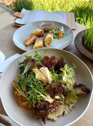salad  at Akasha in Tegallalang