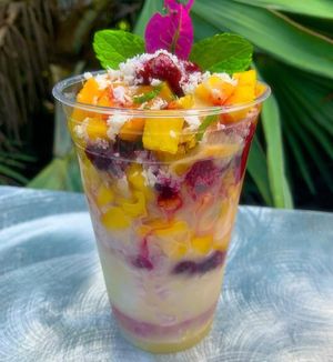 Rainforest Bliss at Jungle Vibes in Miami Beach