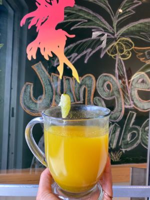 Shaman's fire tea at Jungle Vibes in Miami Beach
