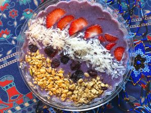 Royal Butterfly at Jungle Vibes in Miami Beach