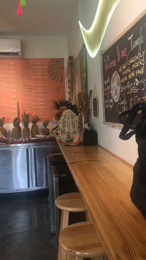 A few places to sit inside at a bar  at Jungle Vibes in Miami Beach