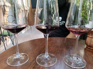 25 Gel for sips of wine. at Living Vino @ So Lucky Bar in Tbilisi