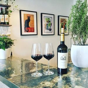 welcome to Living Vino: Natural Wine Bar with Healthy Vegan Food in Tbilisi at Living Vino @ So Lucky Bar in Tbilisi