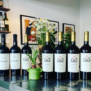 Offers on Natural Wines at Living Vino @ So Lucky Bar in Tbilisi