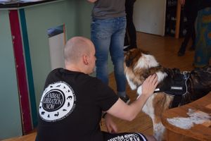 Hunde sind willkommen! at Veganer Mitbringbrunch in Trier