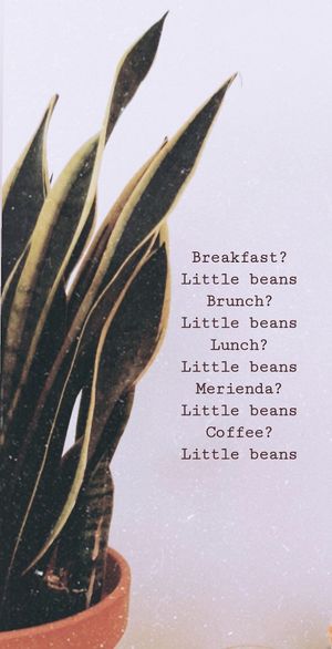 Whst else? at Little Beans in Bilbao