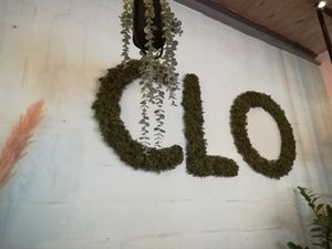 Inside at CLO in Antwerpen