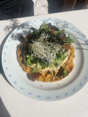 Waffle  at CLO in Antwerpen