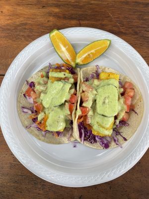 Palm heart fish tacos!  at Verano Vegano in Tamarindo