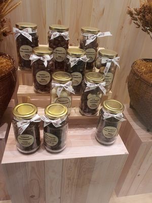 Vegan Chocolates available at Scoop Wholefoods - Paya Lebar in Central Singapore