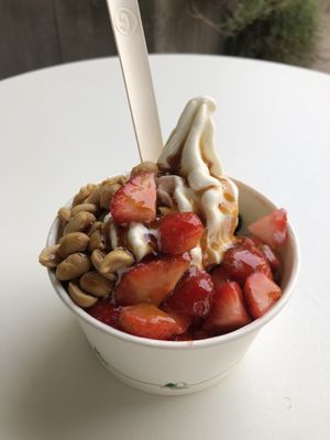 Vegan Vanilla Froyo with berries, peanuts, caramel sauce (6,30€)  at Faleyda in Frankfurt