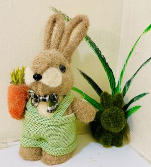   at The Rabbit Hole in Pompano Beach