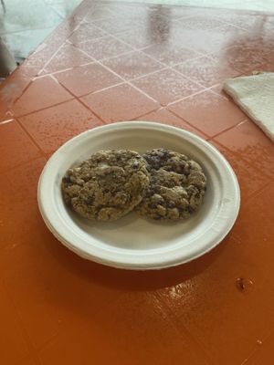   at The Rabbit Hole in Pompano Beach