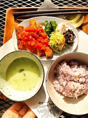 Tofu-katsu at Holy Holy Familiar Tree Cafe in Ikeda