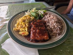 Ackee, sweet and sour tofu, lentil rice, salad at The Healthy Way in Ocho Rios