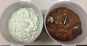 Dairy free mint chip and dairy free chocolate Oreo at Carter's Ice Cream in Haverhill