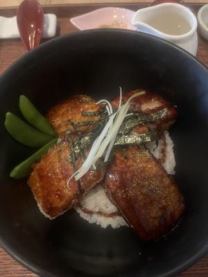 Tofu don  at Kounosuke in Utrecht