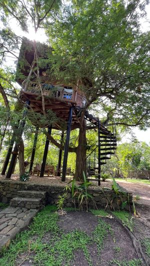  at Jaywa Lanka Restaurant in Tangalle