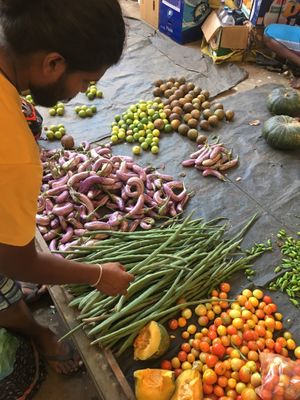 Gayan carefully choosing the right vegetables at the Tangalle market😄 at Jaywa Lanka Restaurant in Tangalle