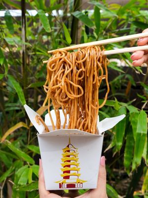 Lo Mein Noodles at Tso Chinese Takeout & Delivery - Arboretum in Austin