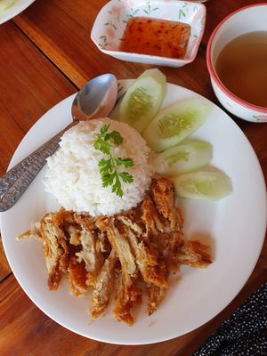 Fried chicken with rice at Mina Hostel in Thakhek