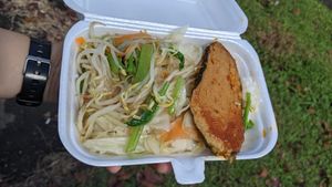 Mix vegetables rice. $2.50 at Fu Lu Shou 福禄寿  in West Singapore