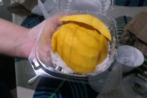 Mango Sticky Rice at Siam Terrace in Urbana