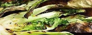 Grilled baby bok choy… subject to availability at Sunflour Community Bakery in Rome
