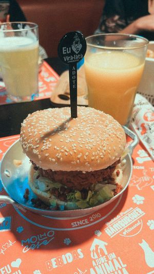   at Vira Latas in Guarulhos
