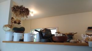 September 2021 at Giving Tree Home in Ishigaki