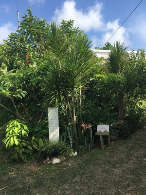   at Giving Tree Home in Ishigaki