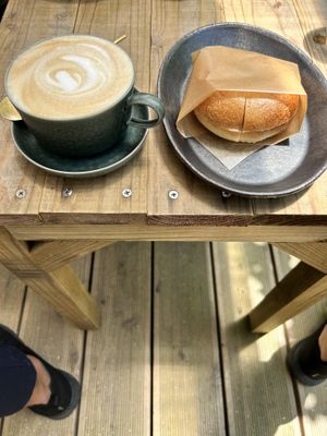 Bagel  at Giving Tree Home in Ishigaki