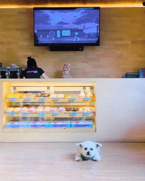 Super dog-friendly 🐾 IG @fluffybenben at Dreamwave Donuts in Canggu