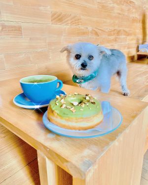 IG @fluffybenben at Dreamwave Donuts in Canggu