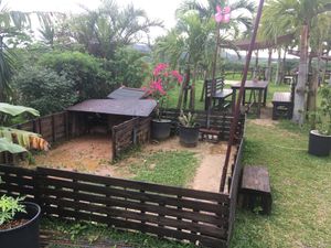 Pet turtle enclosure at Hikari Rakuen in Ishigaki