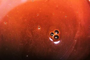 Vegan Hot Cocoa at Good Roots Natural Market in Haverstraw